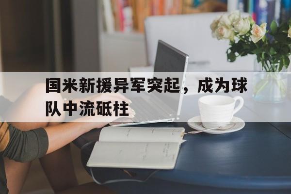 国米新援异军突起，成为球队中流砥柱的简单介绍