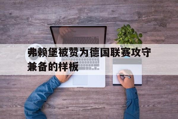 弗赖堡被赞为德国联赛攻守兼备的样板的简单介绍
